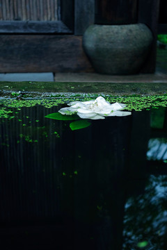 江南梅雨季