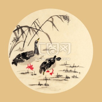雙鴨圖 裝飾畫