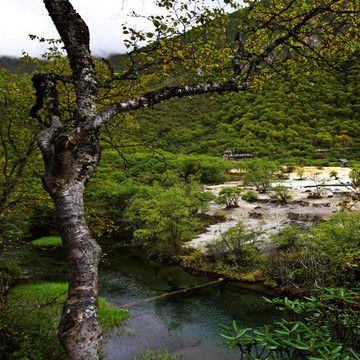 四川黄龙风光