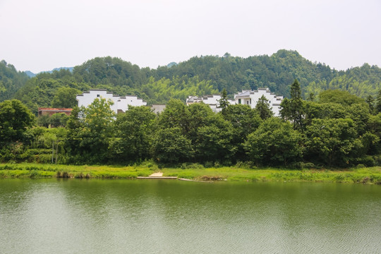 婺源山林