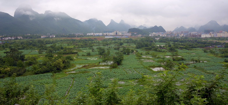 荷塘山水