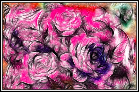 玫瑰花装饰画