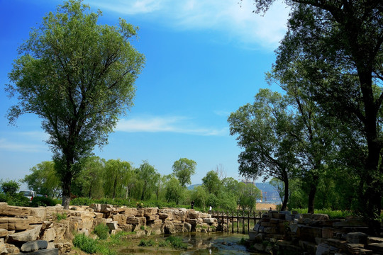 園林景觀綠化 公園