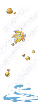楓葉雨