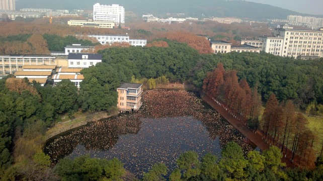 华中科技大学