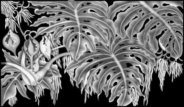 芭蕉葉
