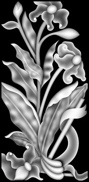 芭蕉葉和花