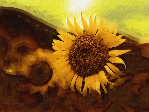 太阳花油画
