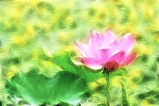 裝飾畫(huà) 荷花