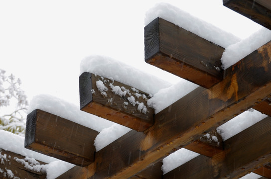 木廊积雪