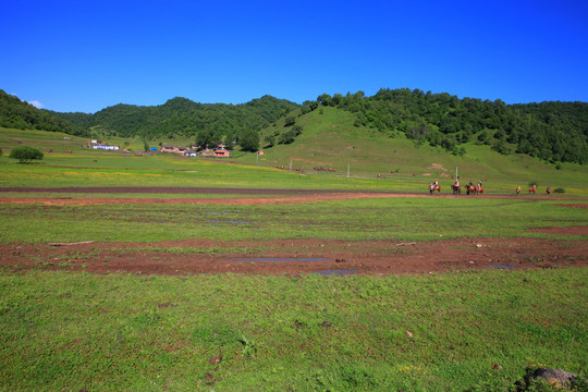 关山草原