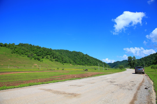 关山草原