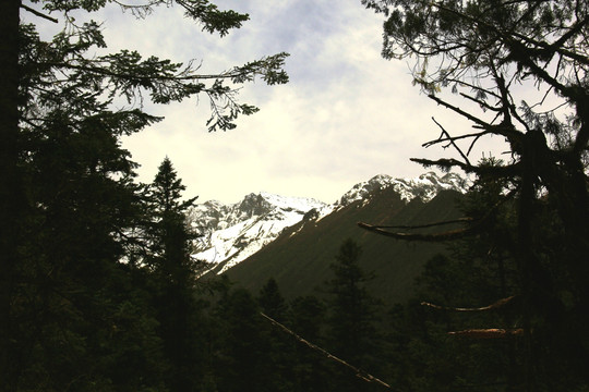 雪山