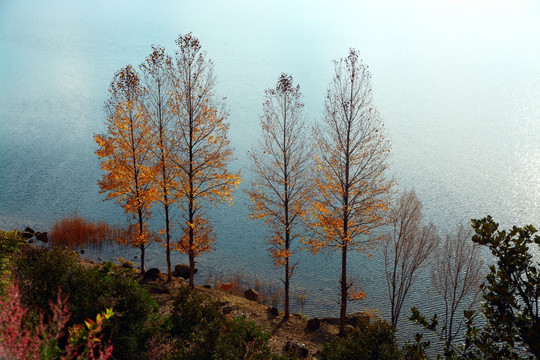 泸沽湖风景区