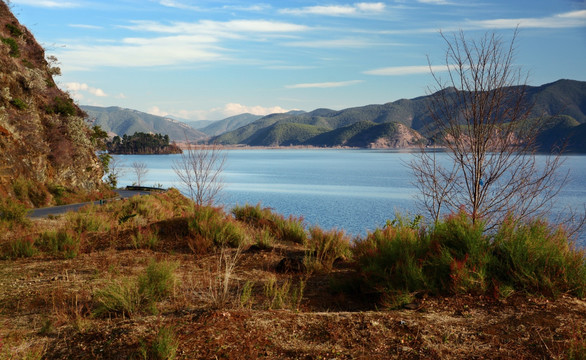 湖边小树 远处山脉泸沽湖风景区