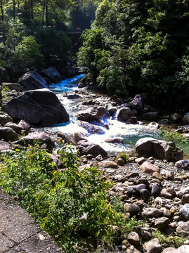 大明山 流水