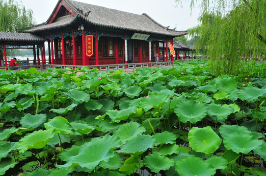 济南风光 园林 大明湖