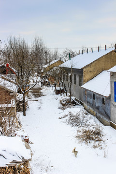 美丽乡村 故乡的雪景