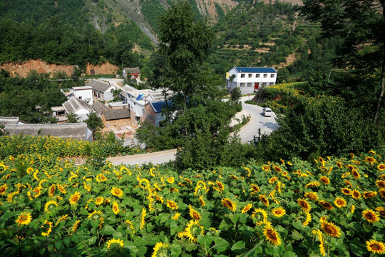 山庄风景