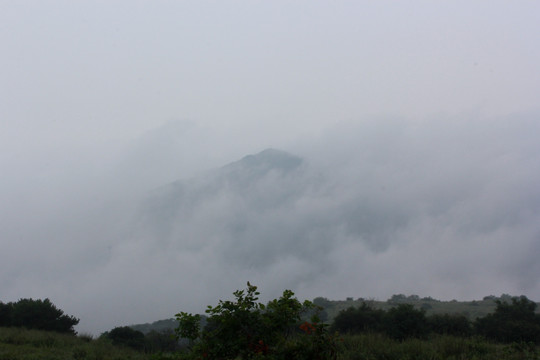 嵩山 山顶 草甸 云雾