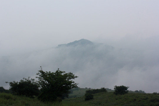 嵩山山顶 云雾缭绕 松