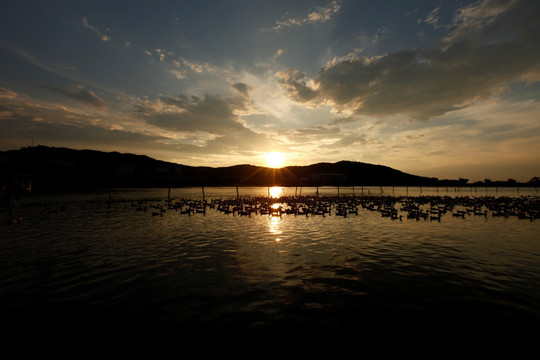 白马湖 湖边的夕阳 黄昏 安静