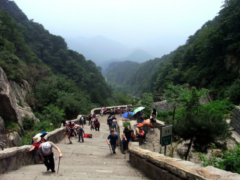 登泰山