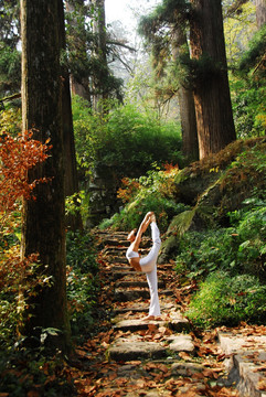 瑜伽美女与自然