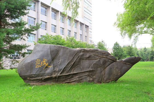 东北林业大学