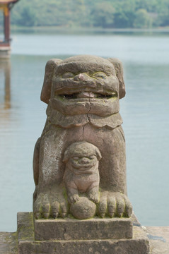 四川宝狮湖景区风光狮子护幼狮