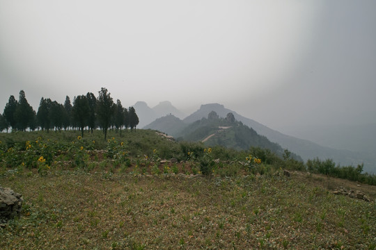 岱崮地貌