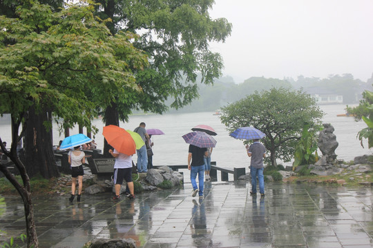 雨中的西湖边