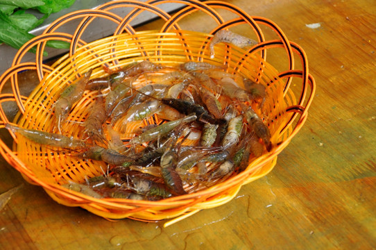 清水虾