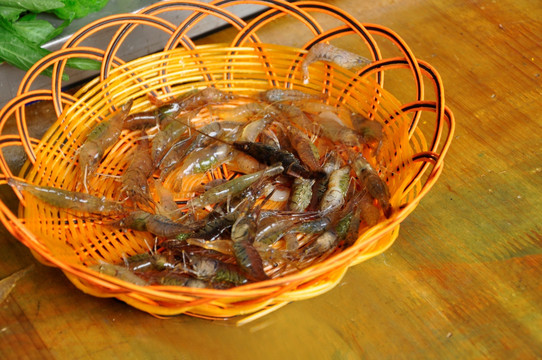 清水虾