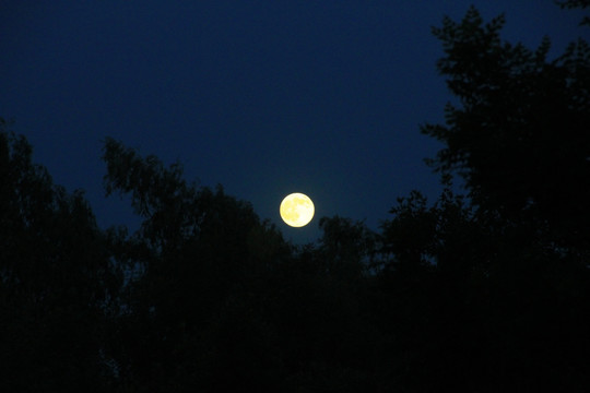 月亮 夜景