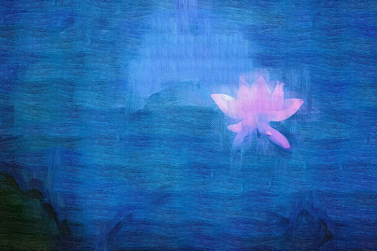 荷花 無(wú)框畫(huà) 裝飾畫(huà) 抽象畫(huà)