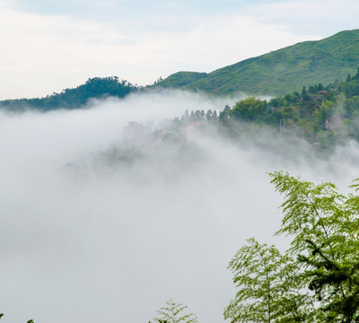 茗岙 云雾