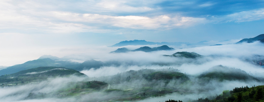 茗岙 云雾