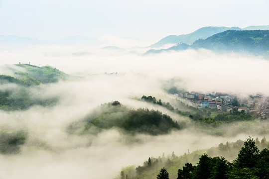 云海 云雾 山