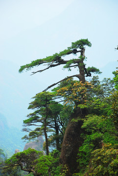 三清山风光