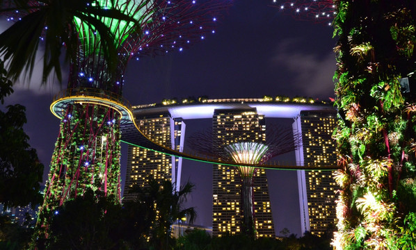 金沙赌场夜景