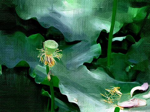 裝飾畫