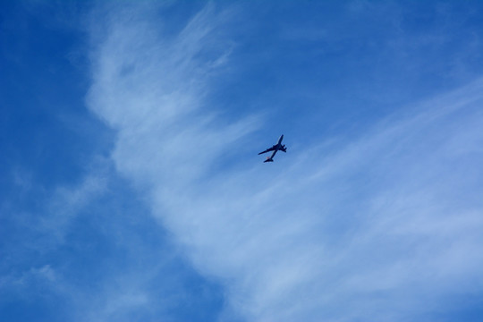 飞机 翱翔 白云 天空 云