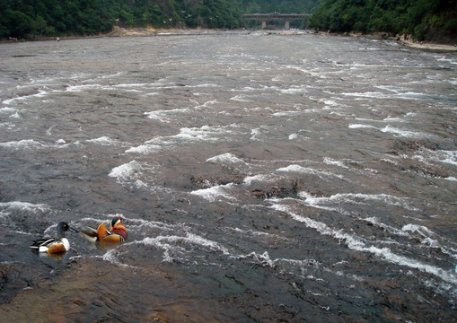 风景名胜、旅游休闲