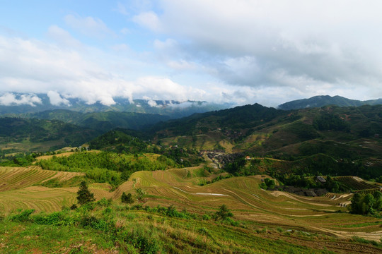 梯田 龙脊梯田