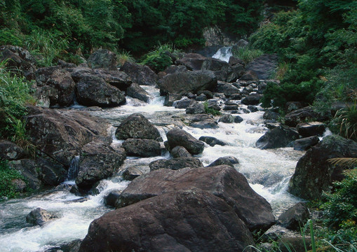 山澗溪水