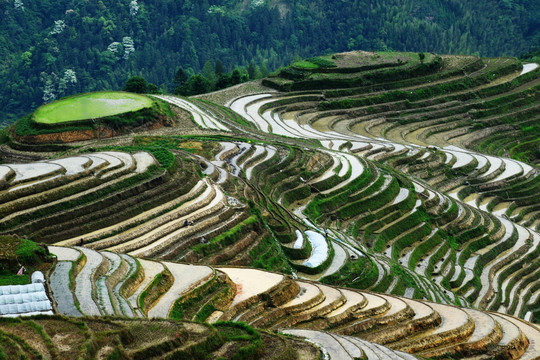 梯田 龙脊梯田