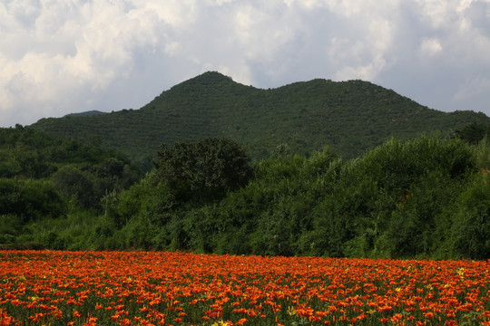 四季花海风景区