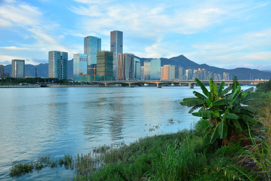 南江滨江滨风景