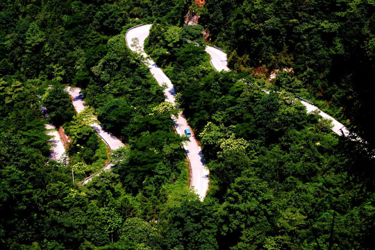 盘山森林公路